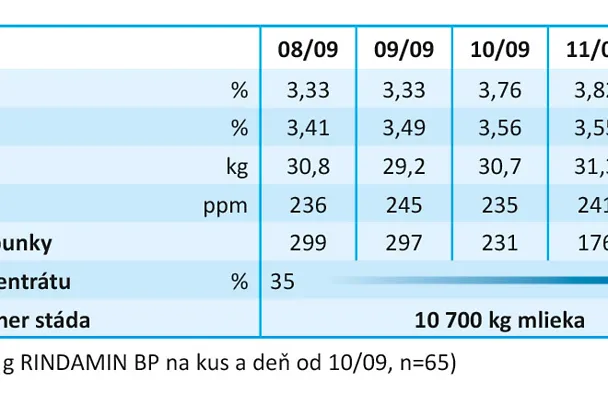 RINDAMIN BP RINDAMIN BP