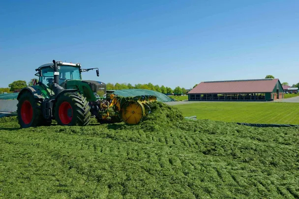 Grassilierung Grassilierung