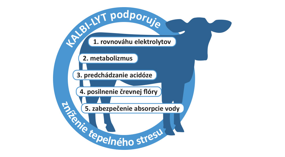 KALBI-LYT vyrovnáva straty potu