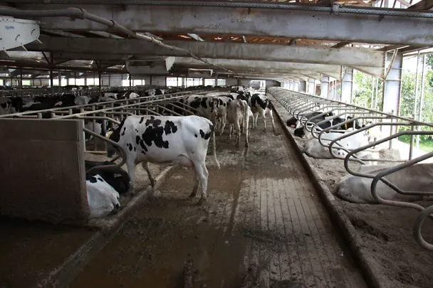 FARMA V PLUSE FARMA V PLUSE